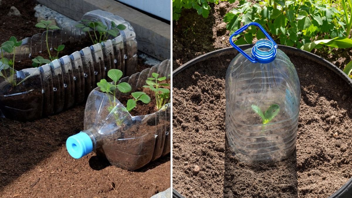 How to Make a Simple Garden Dripper at Home for Efficient Watering and Healthier Plants