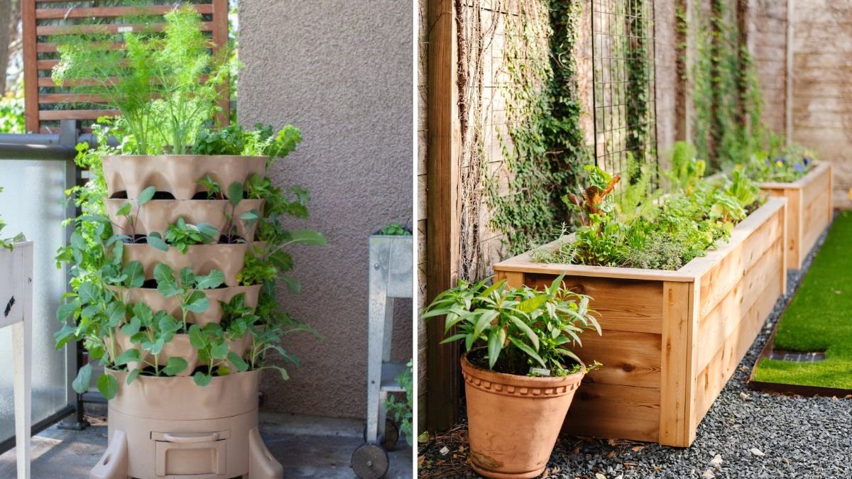 Surprisingly Effective Gardening Methods That Produce More Food in Less Space