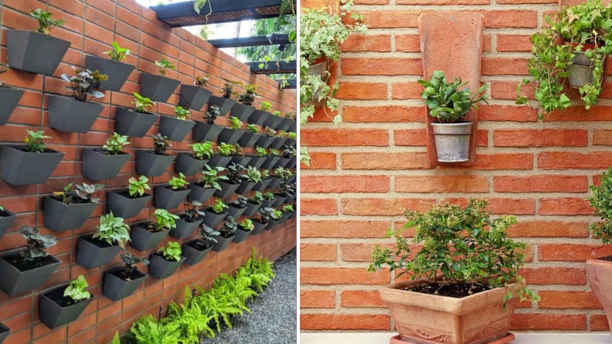 3 Creative Ways to Grow Plants at Home Without a Traditional Garden