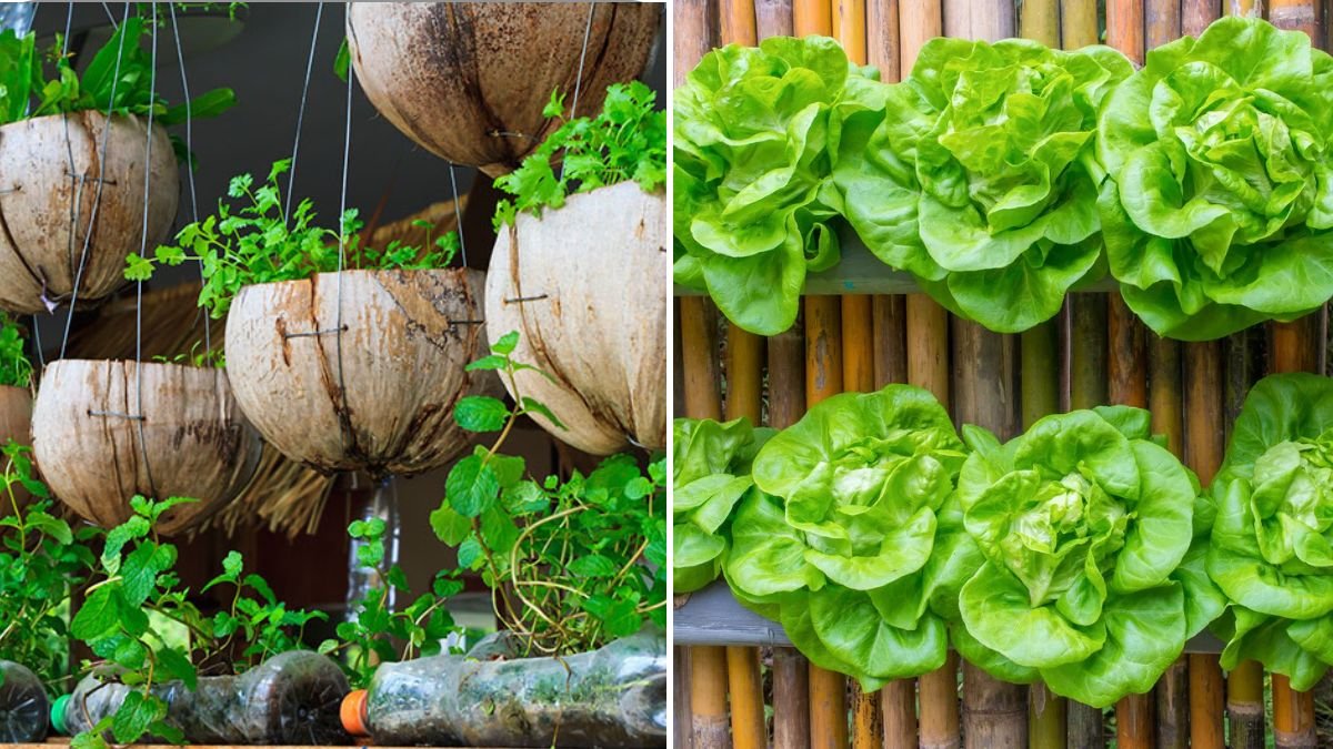 Creating a Hanging Vegetable Garden: Maximize Your Space and Yield