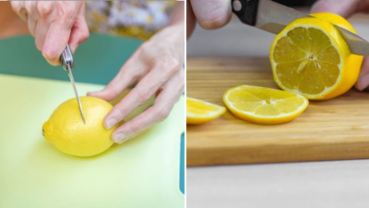 How to Make Lemon Tree Cuttings: Step-by-Step Guide for Healthy Lemon Plants