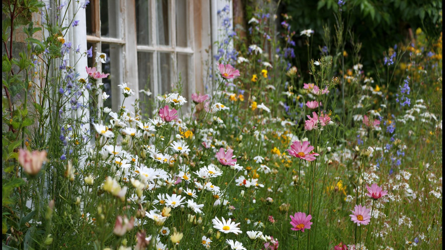 How Can You Transform a Corner with a Beautiful Tiered Plant Stand Display?