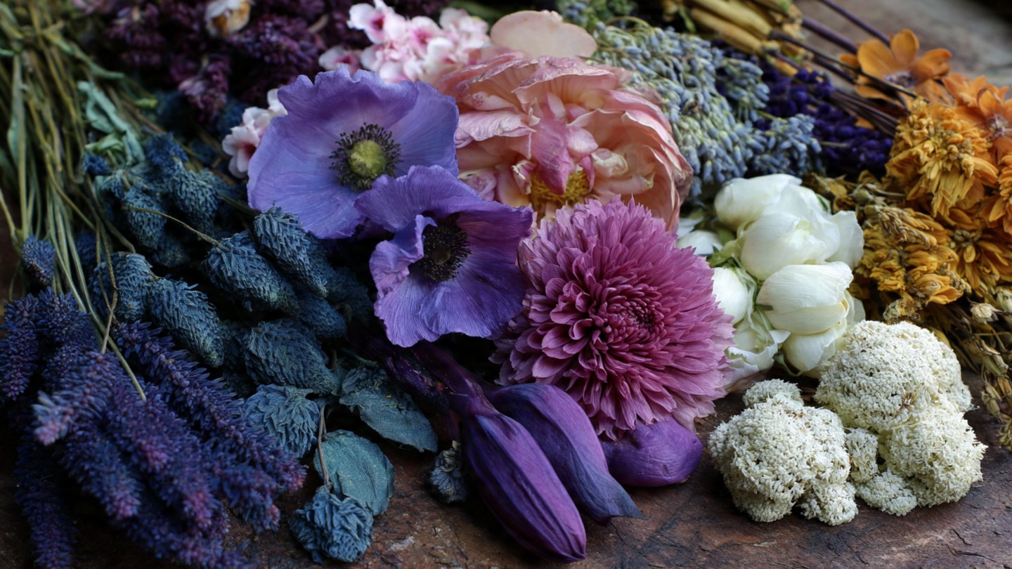 How to Grow a Vibrant Natural Dye Garden