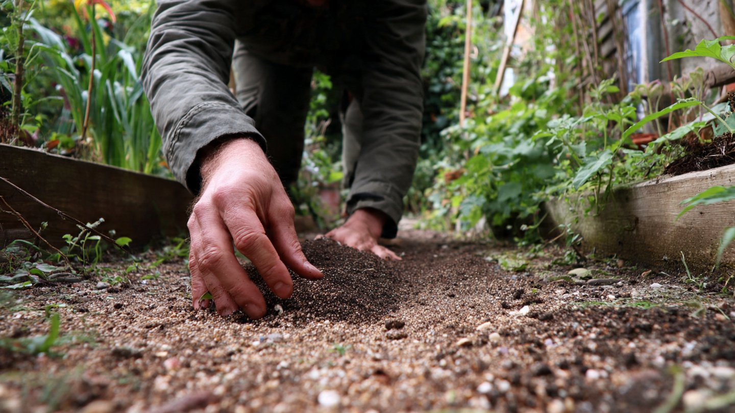 How to Use a Layer of Sand for Seed Sowing in Your Garden