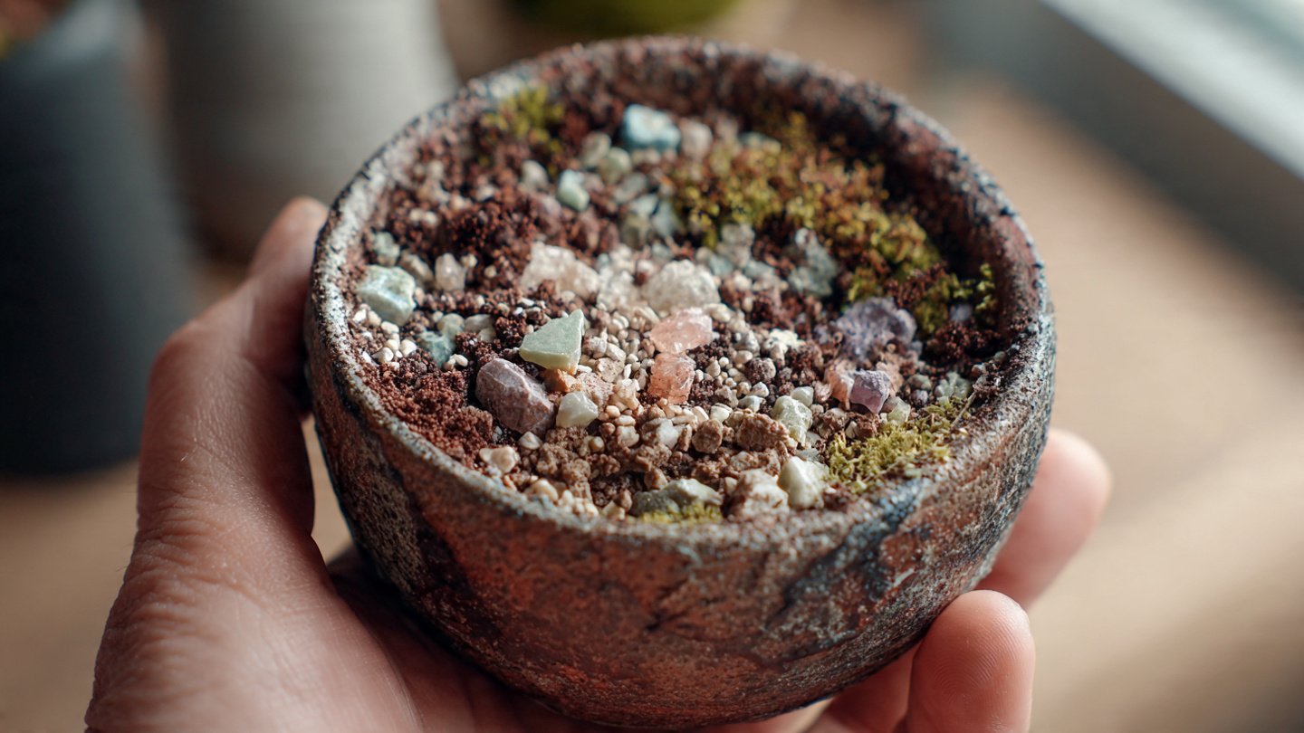 Have You Discovered the Secret Benefits of Using This Unique Type of Potting Mix?